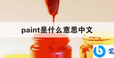 paint是什么意思中文(paints是什么意思中文)