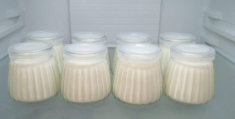 发酵酸奶的乳酸菌可以直接吃吗(过期的乳酸菌做的酸奶挺成功的能吃吗)